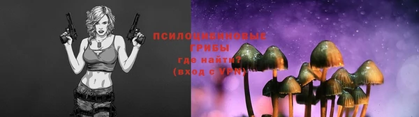 2c-b Абинск