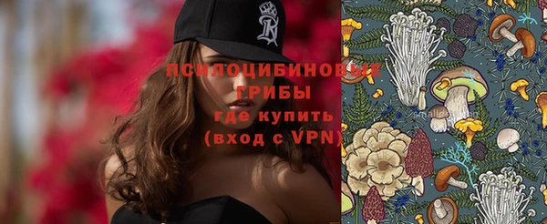 apvp Алексин