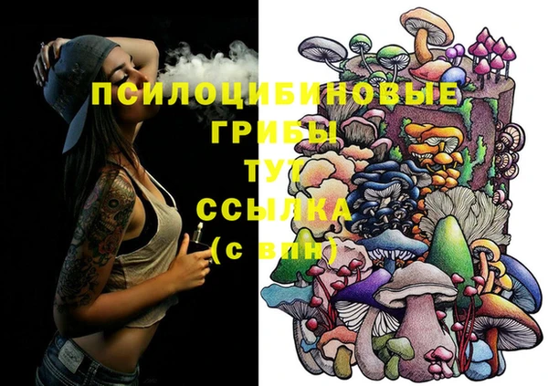 крисы Алексеевка
