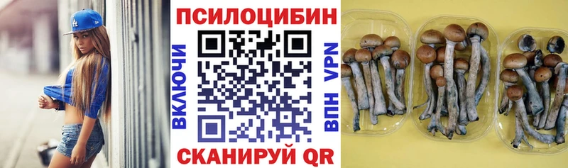 как найти закладки кракен сайт Галлюциногенные грибы Psilocybine cubensis Краснозаводск